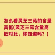 怎么看灵芝三萜的含量高低(灵芝三萜含量高低对比，你知道吗？)