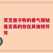 灵芝孢子粉的香气探秘是否真的存在其独特芬芳