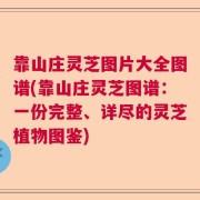 靠山庄灵芝图片大全图谱(靠山庄灵芝图谱：一份完整、详尽的灵芝植物图鉴)