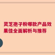 灵芝孢子粉哪款产品效果佳全面解析与推荐