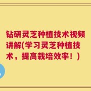 钻研灵芝种植技术视频讲解(学习灵芝种植技术，提高栽培效率！)
