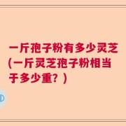 一斤孢子粉有多少灵芝(一斤灵芝孢子粉相当于多少重？)