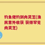 钓鱼佬钓到肉灵芝(渔民意外收获 获得罕见肉灵芝)