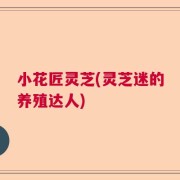 小花匠灵芝(灵芝迷的养殖达人)