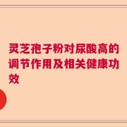 灵芝孢子粉对尿酸高的调节作用及相关健康功效