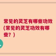 常见的灵芝有哪些功效(常见的灵芝功效有哪些？)