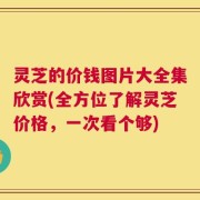 灵芝的价钱图片大全集欣赏(全方位了解灵芝价格，一次看个够)