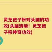 灵芝孢子粉对头脑的功效(头脑清晰！灵芝孢子粉神奇功效)