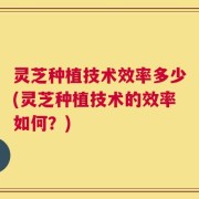 灵芝种植技术效率多少(灵芝种植技术的效率如何？)