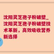 沈阳灵芝孢子粉破壁_沈阳灵芝孢子粉破壁技术革新，高效吸收营养新选择