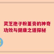 灵芝孢子粉堇膏的神奇功效与健康之道探秘