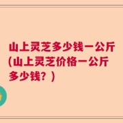 山上灵芝多少钱一公斤(山上灵芝价格一公斤多少钱？)