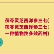 茯苓灵芝西洋参三七(茯苓灵芝西洋参三七：一种植物性多效药材)