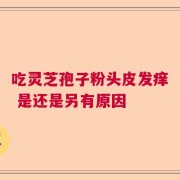 吃灵芝孢子粉头皮发痒 是还是另有原因