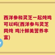 西洋参和灵芝一起炖鸡可以吗(西洋参与灵芝同炖 鸡汁鲜美营养丰富)