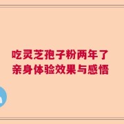 吃灵芝孢子粉两年了 亲身体验效果与感悟