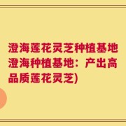 澄海莲花灵芝种植基地澄海种植基地：产出高品质莲花灵芝)
