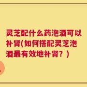 灵芝配什么药泡酒可以补肾(如何搭配灵芝泡酒最有效地补肾？)