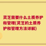 灵芝需要什么土质养护和管理(灵芝的土质养护和管理方法详解)