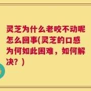 灵芝为什么老咬不动呢怎么回事(灵芝的口感为何如此困难，如何解决？)