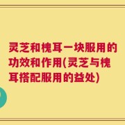 灵芝和槐耳一块服用的功效和作用(灵芝与槐耳搭配服用的益处)