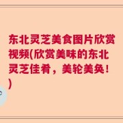 东北灵芝美食图片欣赏视频(欣赏美味的东北灵芝佳肴，美轮美奂！)