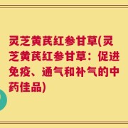 灵芝黄芪红参甘草(灵芝黄芪红参甘草：促进免疫、通气和补气的中药佳品)