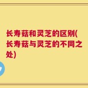 长寿菇和灵芝的区别(长寿菇与灵芝的不同之处)