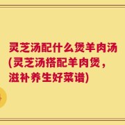 灵芝汤配什么煲羊肉汤(灵芝汤搭配羊肉煲，滋补养生好菜谱)