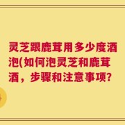 灵芝跟鹿茸用多少度酒泡(如何泡灵芝和鹿茸酒，步骤和注意事项？
