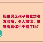 服用灵芝孢子粉竟然引发腰痛，令人震惊，快来看看你也中招了吗？