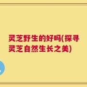 灵芝野生的好吗(探寻灵芝自然生长之美)