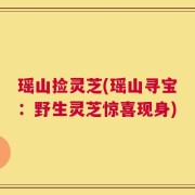 瑶山捡灵芝(瑶山寻宝：野生灵芝惊喜现身)