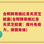 合辉牌葛根红景天灵芝胶囊(合辉牌葛根红景天灵芝胶囊：提升免疫力，保健身体)