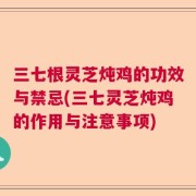 三七根灵芝炖鸡的功效与禁忌(三七灵芝炖鸡的作用与注意事项)