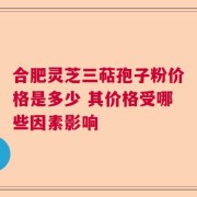合肥灵芝三萜孢子粉价格是多少 其价格受哪些因素影响