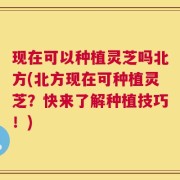 现在可以种植灵芝吗北方(北方现在可种植灵芝？快来了解种植技巧！)