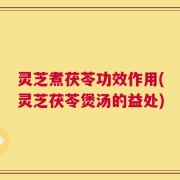灵芝煮茯苓功效作用(灵芝茯苓煲汤的益处)