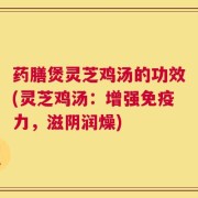 药膳煲灵芝鸡汤的功效(灵芝鸡汤：增强免疫力，滋阴润燥)