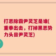 打恶除霸尹灵芝是谁(重拳出击，打掉黑恶势力头目尹灵芝)