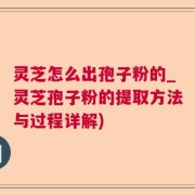 灵芝怎么出孢子粉的_灵芝孢子粉的提取方法与过程详解)