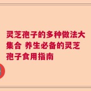 灵芝孢子的多种做法大集合 养生必备的灵芝孢子食用指南