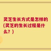 灵芝生长方式是怎样的(灵芝的生长过程是什么？)