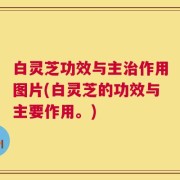 白灵芝功效与主治作用图片(白灵芝的功效与主要作用。)