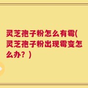 灵芝孢子粉怎么有霉(灵芝孢子粉出现霉变怎么办？)