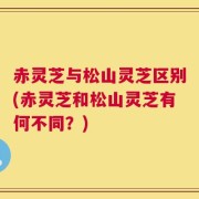 赤灵芝与松山灵芝区别(赤灵芝和松山灵芝有何不同？)