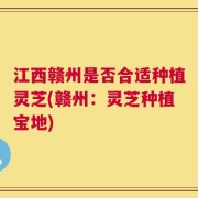 江西赣州是否合适种植灵芝(赣州：灵芝种植宝地)
