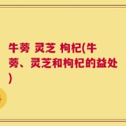 牛蒡 灵芝 枸杞(牛蒡、灵芝和枸杞的益处)