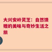 大兴安岭灵芝：自然馈赠的美味与奇妙生活之旅