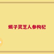 蝎子灵芝人参枸杞